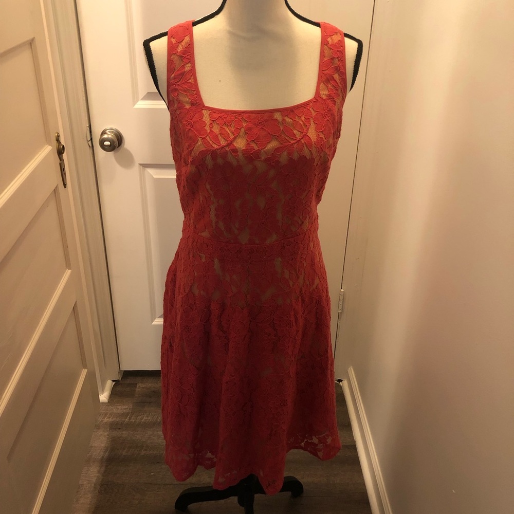The Limited Pink Lace A Line Dress